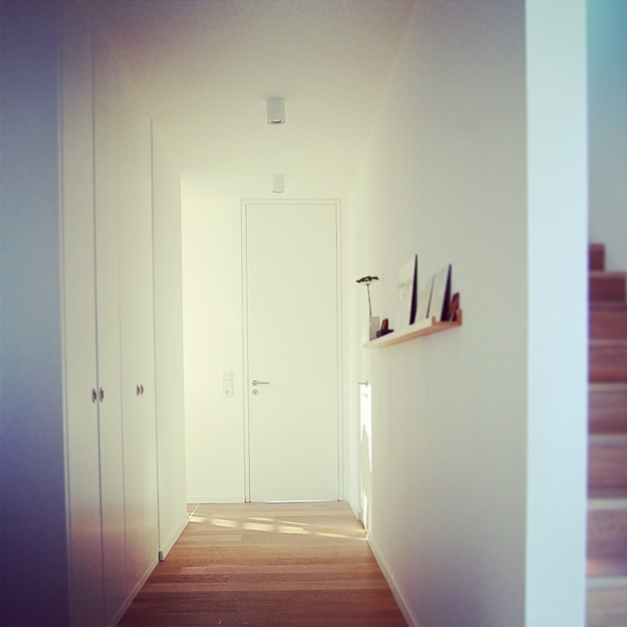 Haus S